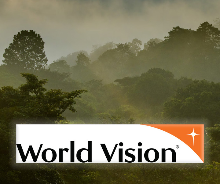 World Vision logo